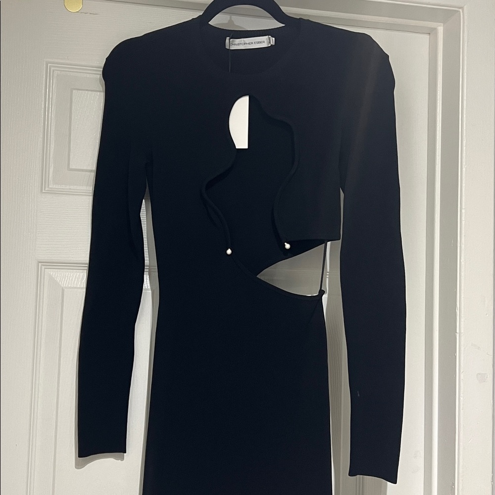Christopher Esber Wired Dress - Picture 8 of 14